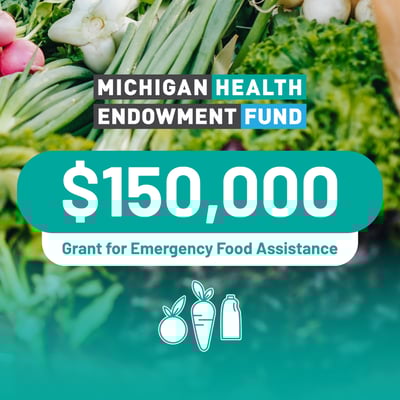 $150K MI Health Endowment Fund 1x1