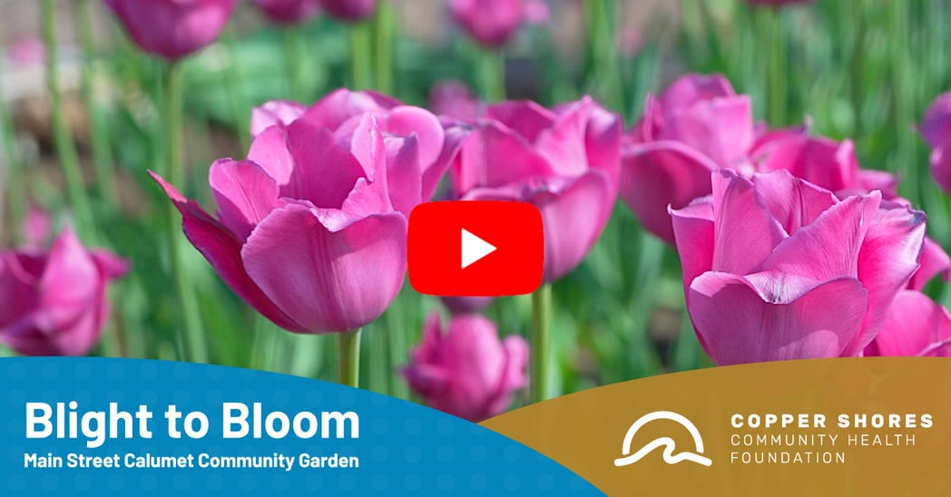 2023-07-10-Tulip-Garden-Facebook-Insta-Edits-OL-WithYouTubeButton-1