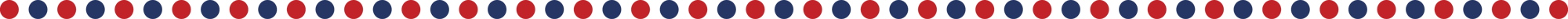 2024-04-24-SocialMedia-WebsiteBanner-CopperShoresCommunityAreaPicnic-DotPattern