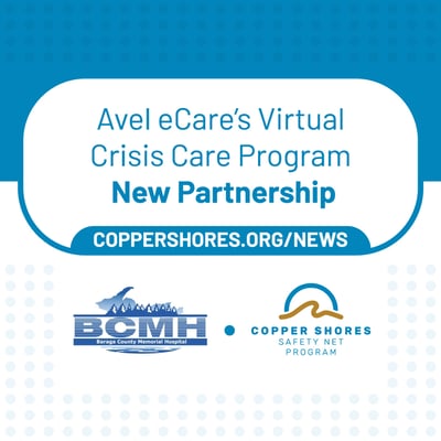 2024-06-11-Safety-Net-Program-+-BCMH---Partnering---OL--1x1