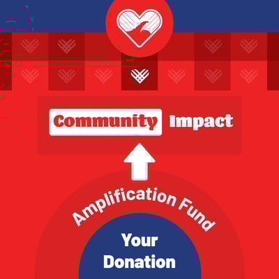 2024-10-22-AmplificationFund-SocialGraphics-OL-1x1-v1