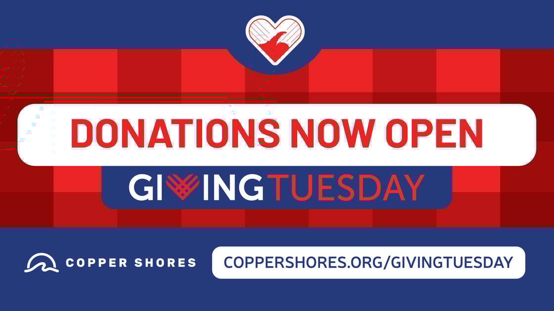 2024-11-08-GivingTuesday-DonationsOpen-OL-1920x1080-Updated-1