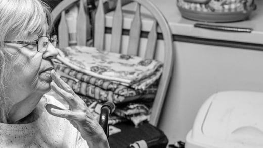 2024-11-25-InezArticle-MealsonWheels