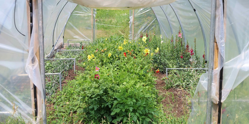 2024FoodIniativeEmail-Summer-WesternUpperPeninsuLa