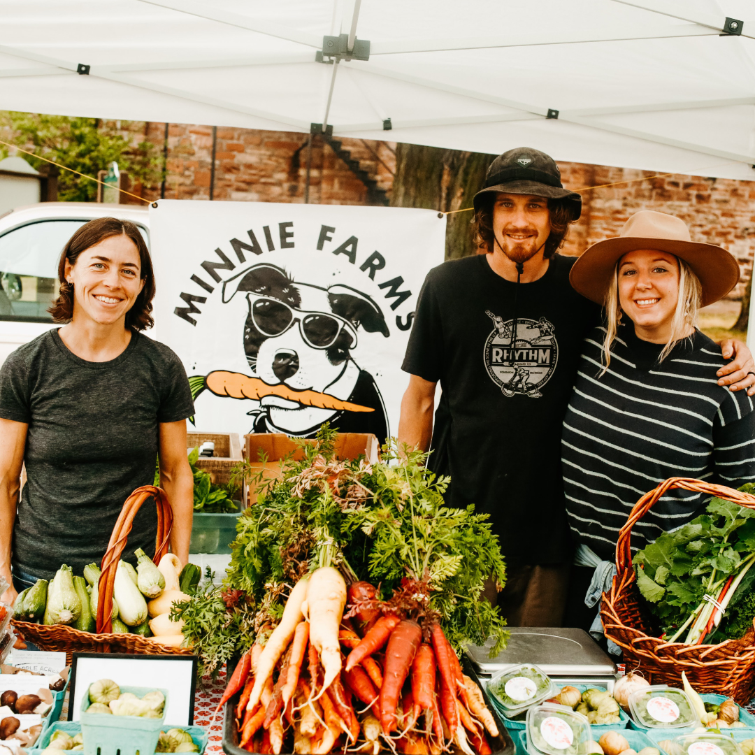 CommunityFoodSurvey-squareimage-03