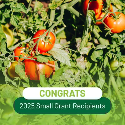 Congrats 2025 Small Grant recipients 1x1