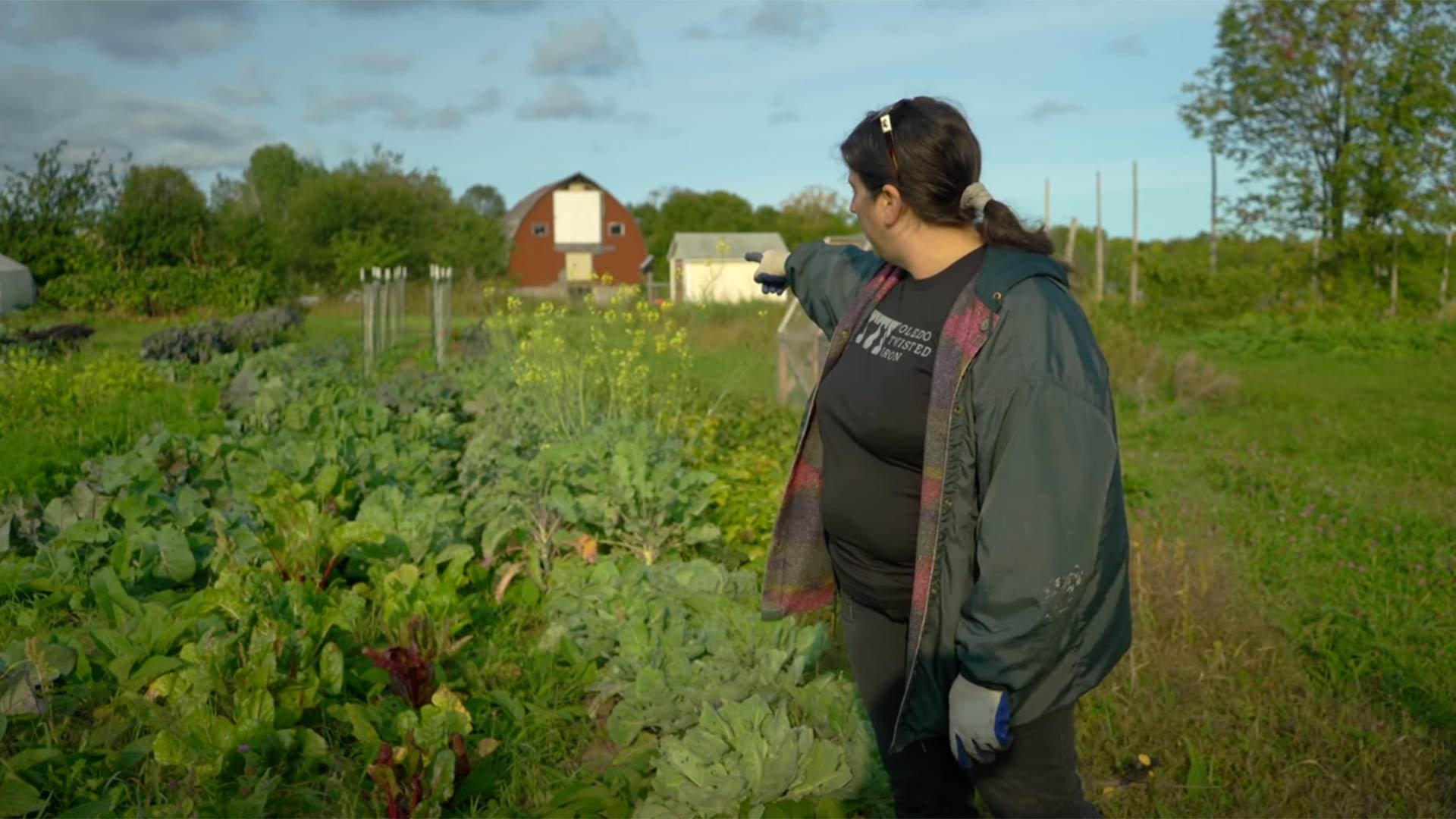 Copper-Shores---Whispering-Wild-Market-Farms-