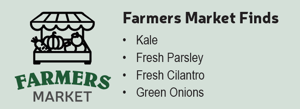 Farmers Market Finds Quinoa and Fresh Herb Salad