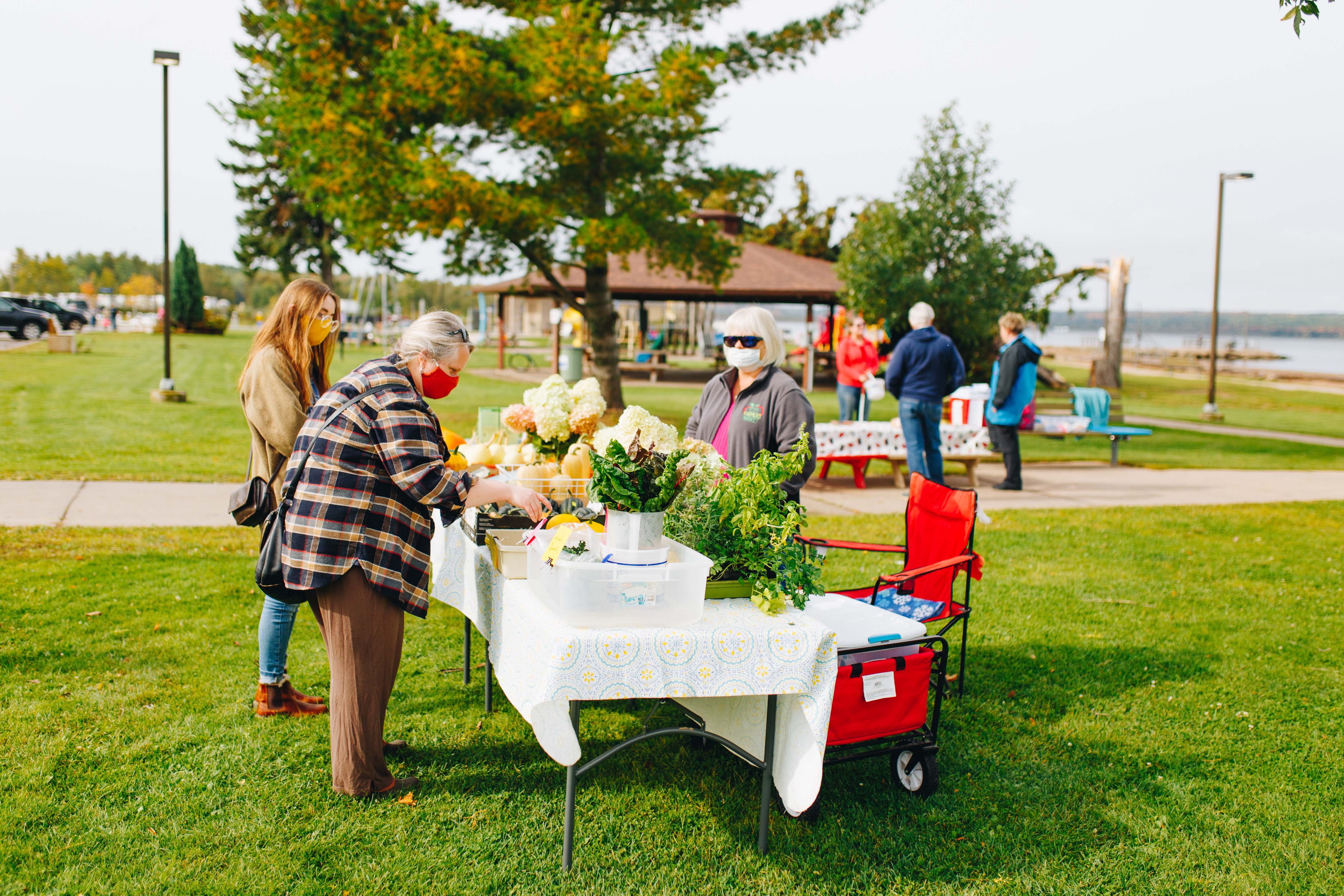 Farmers Market in LAnse
