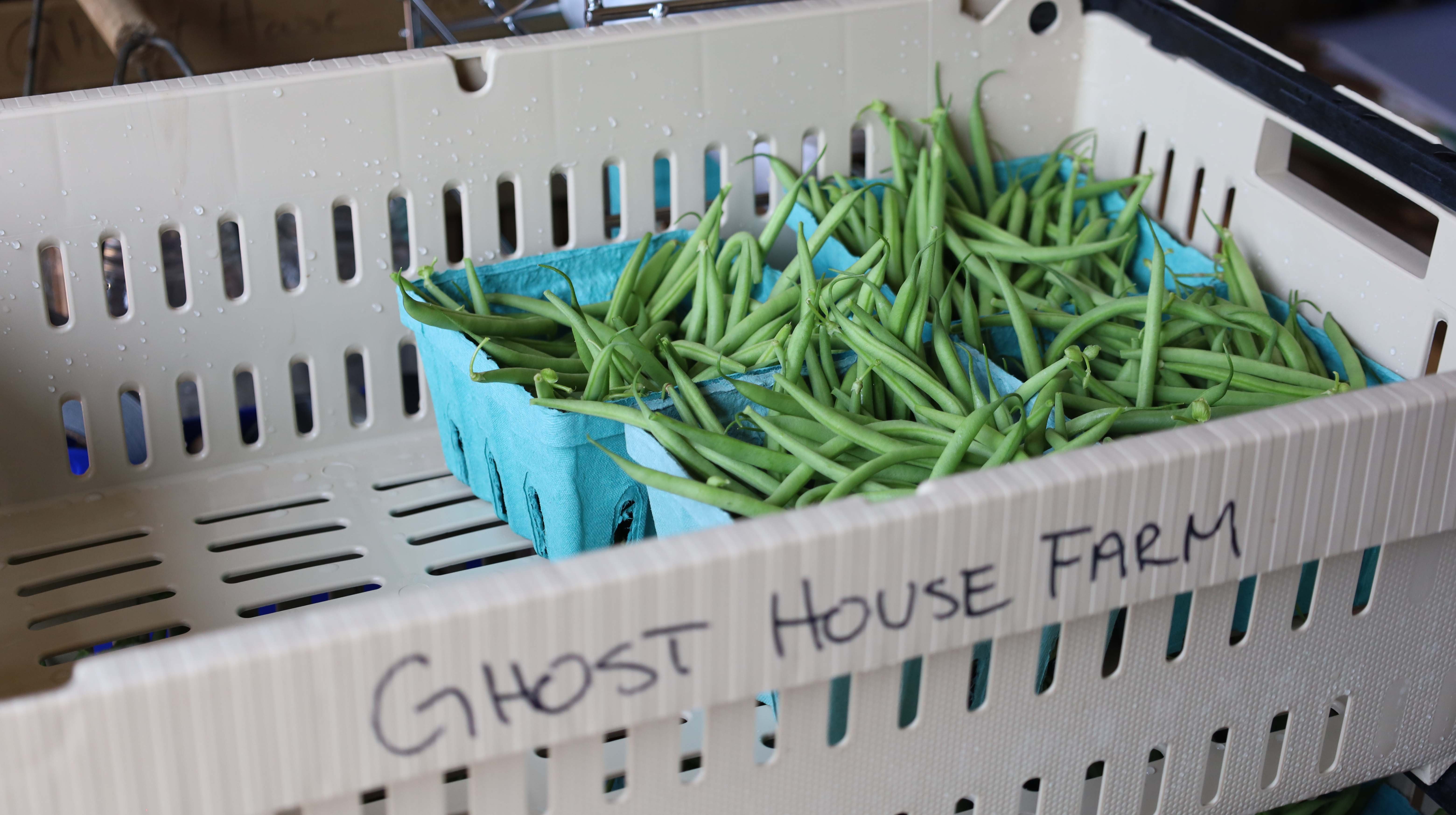 Green Beans from Ghost House Farms