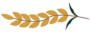 Left Wheat