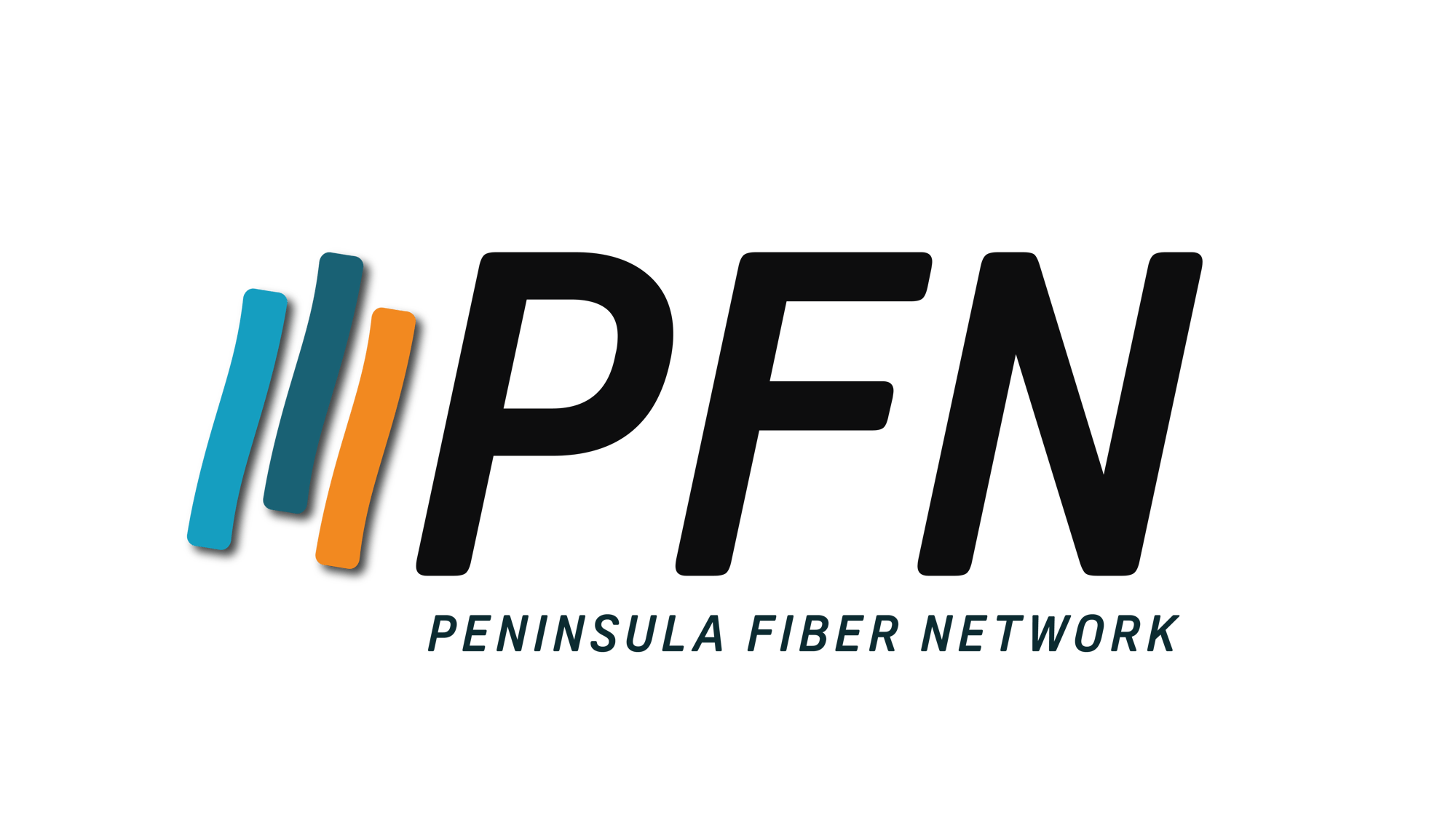 PFN Logo