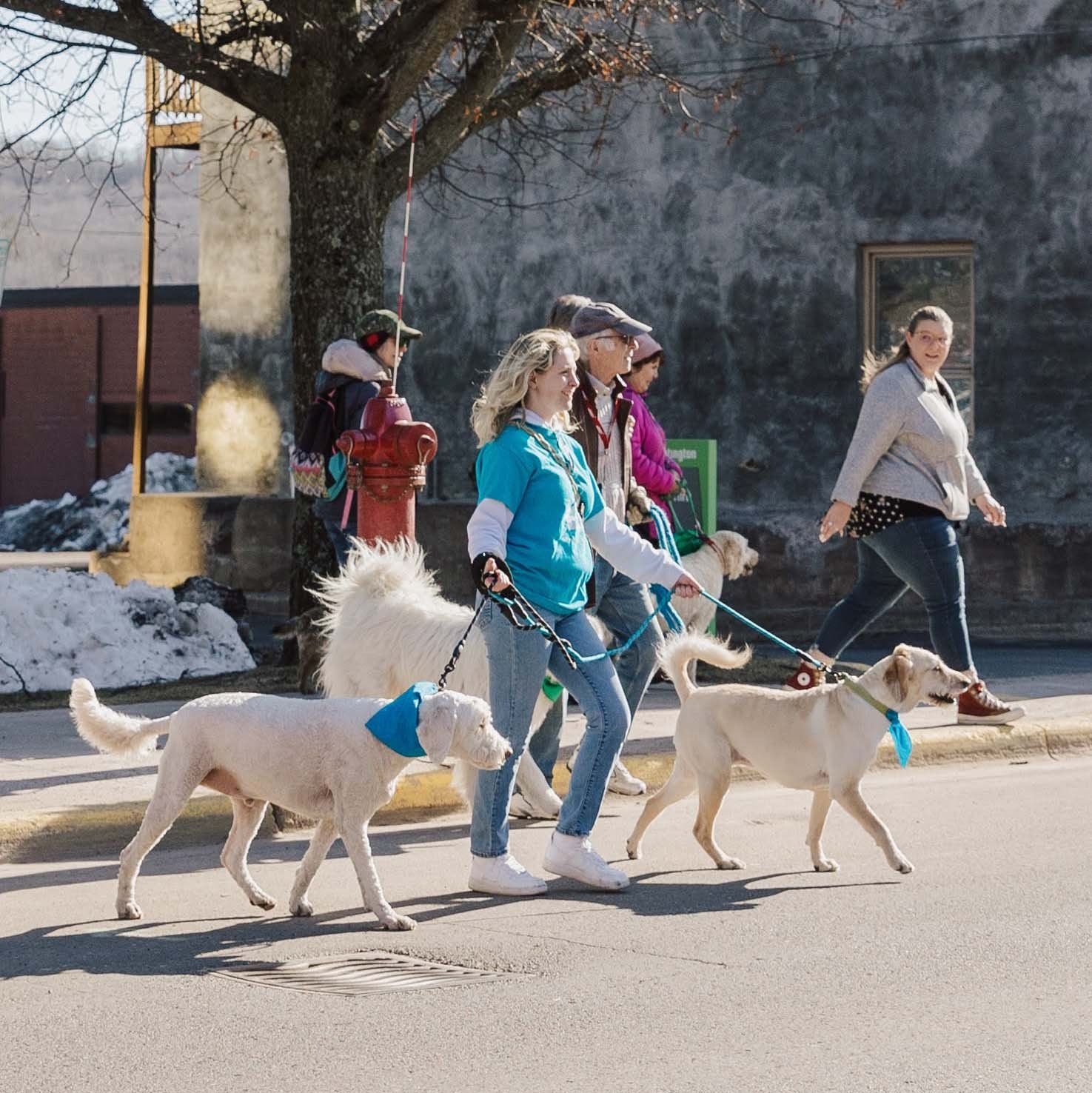 Puppy Parade Landing Page 3