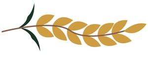 Right Wheat