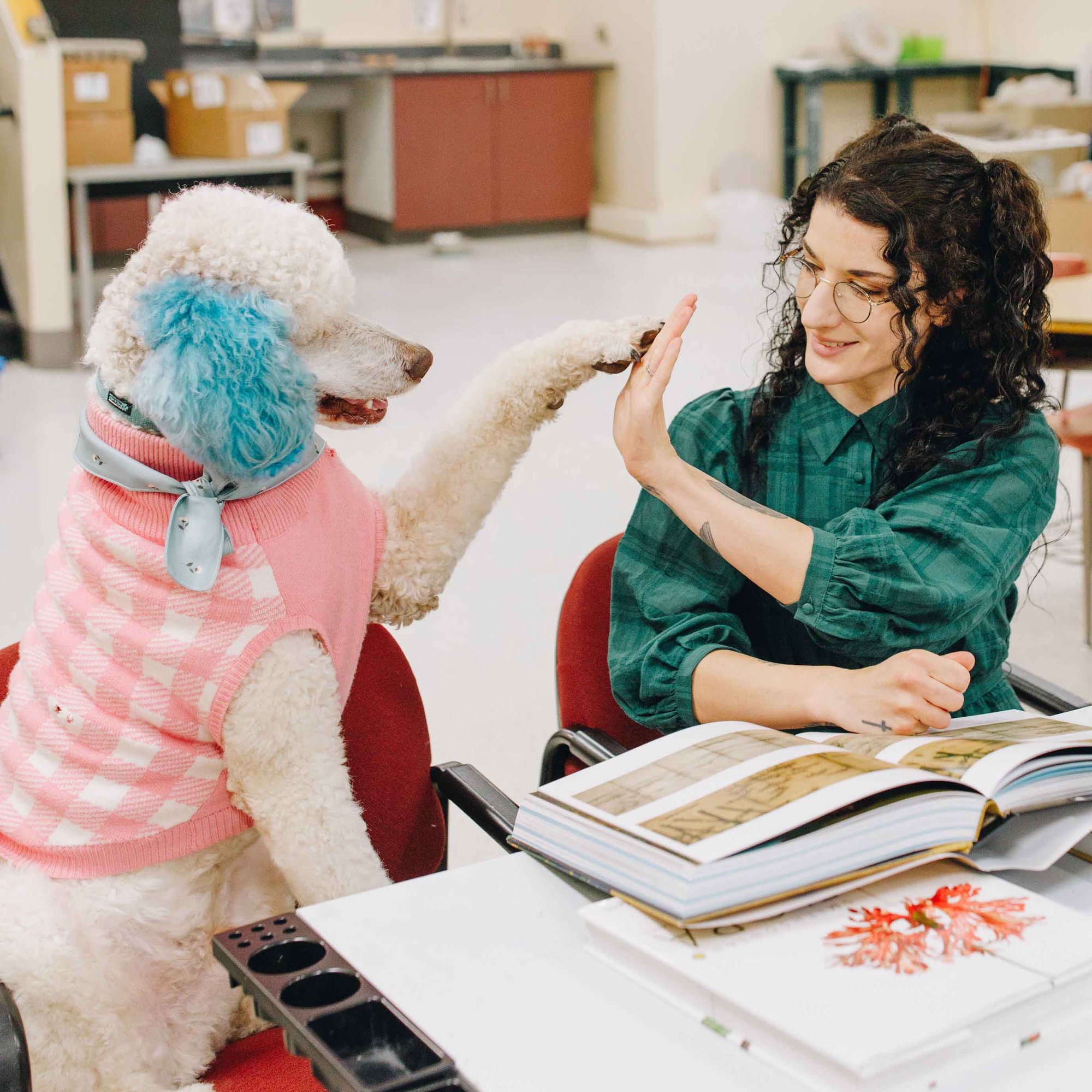 Therapy Dog place holder