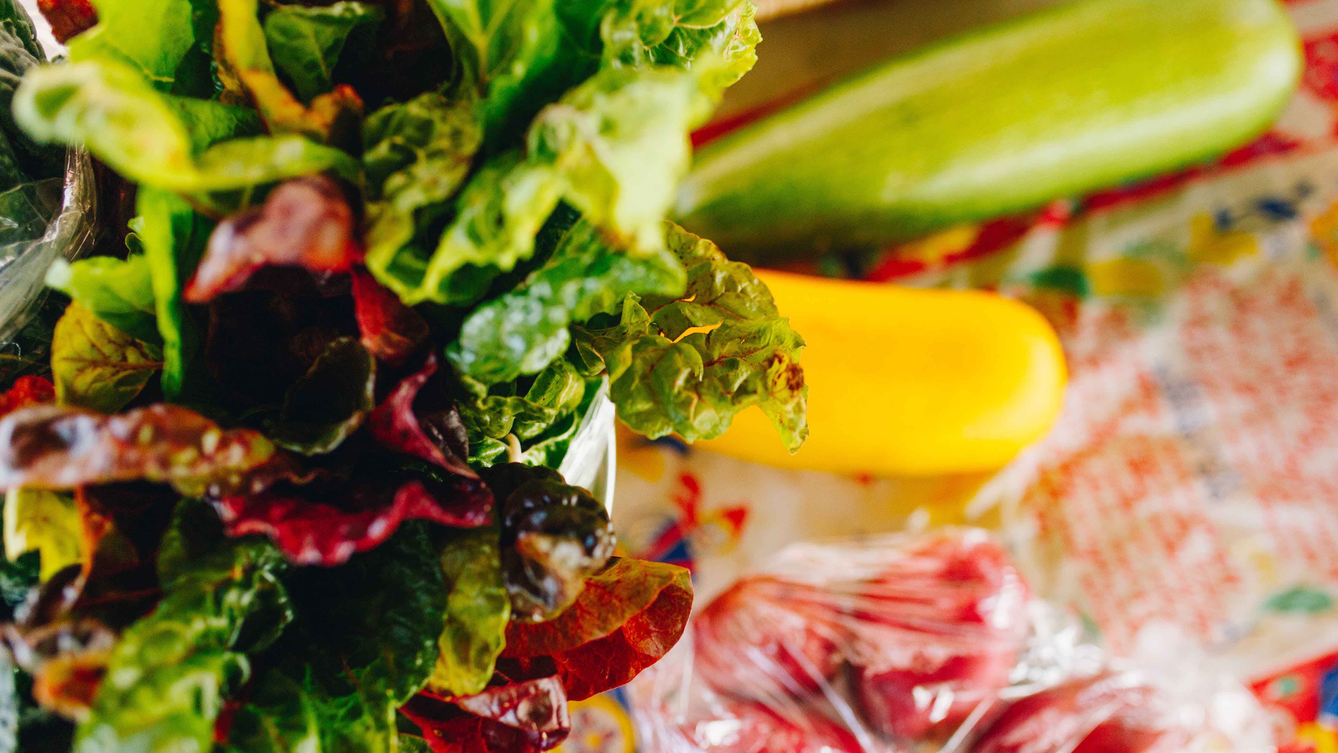 Navigating Nutrition - Featured Image