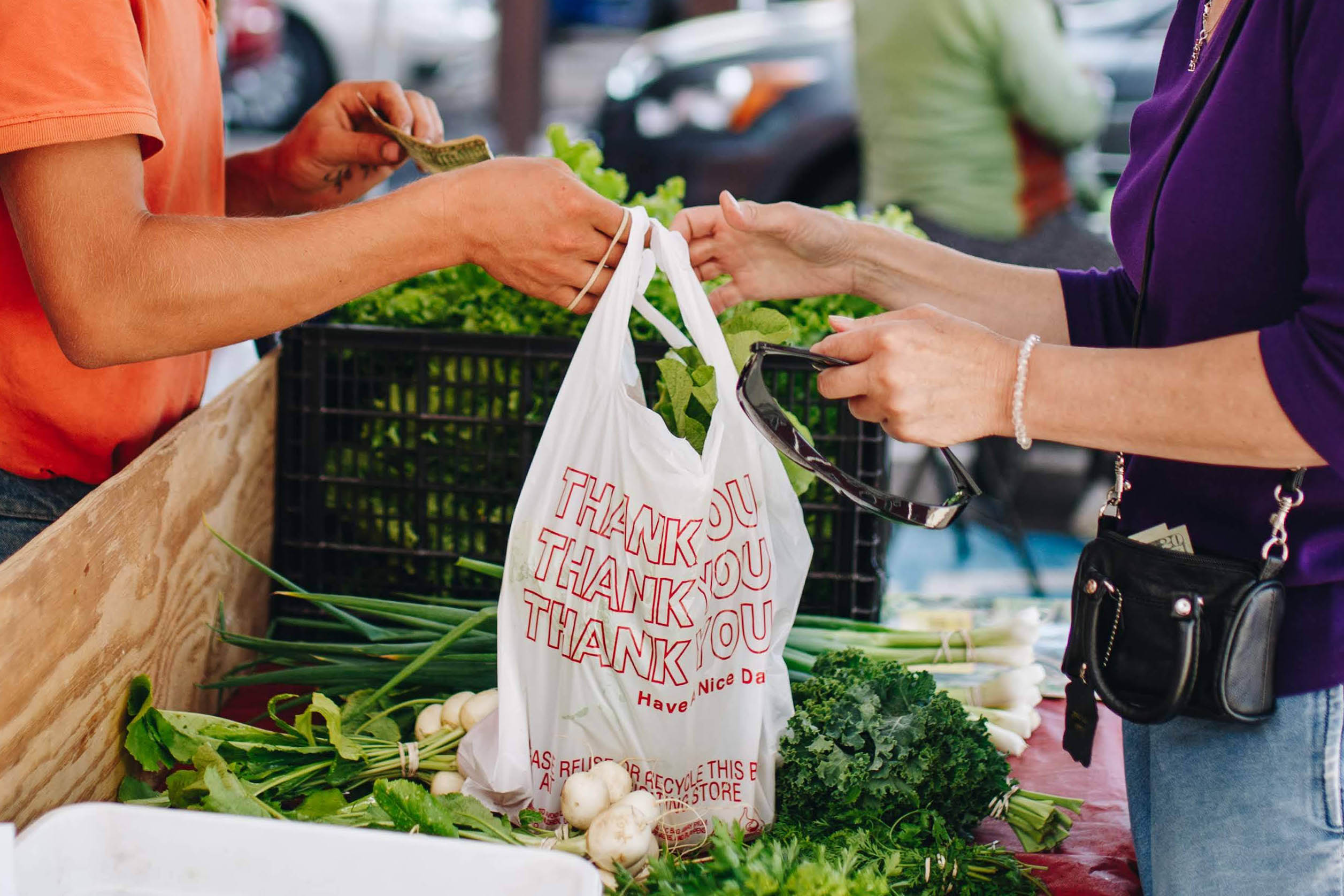 Navigating Nutrition - Featured Image