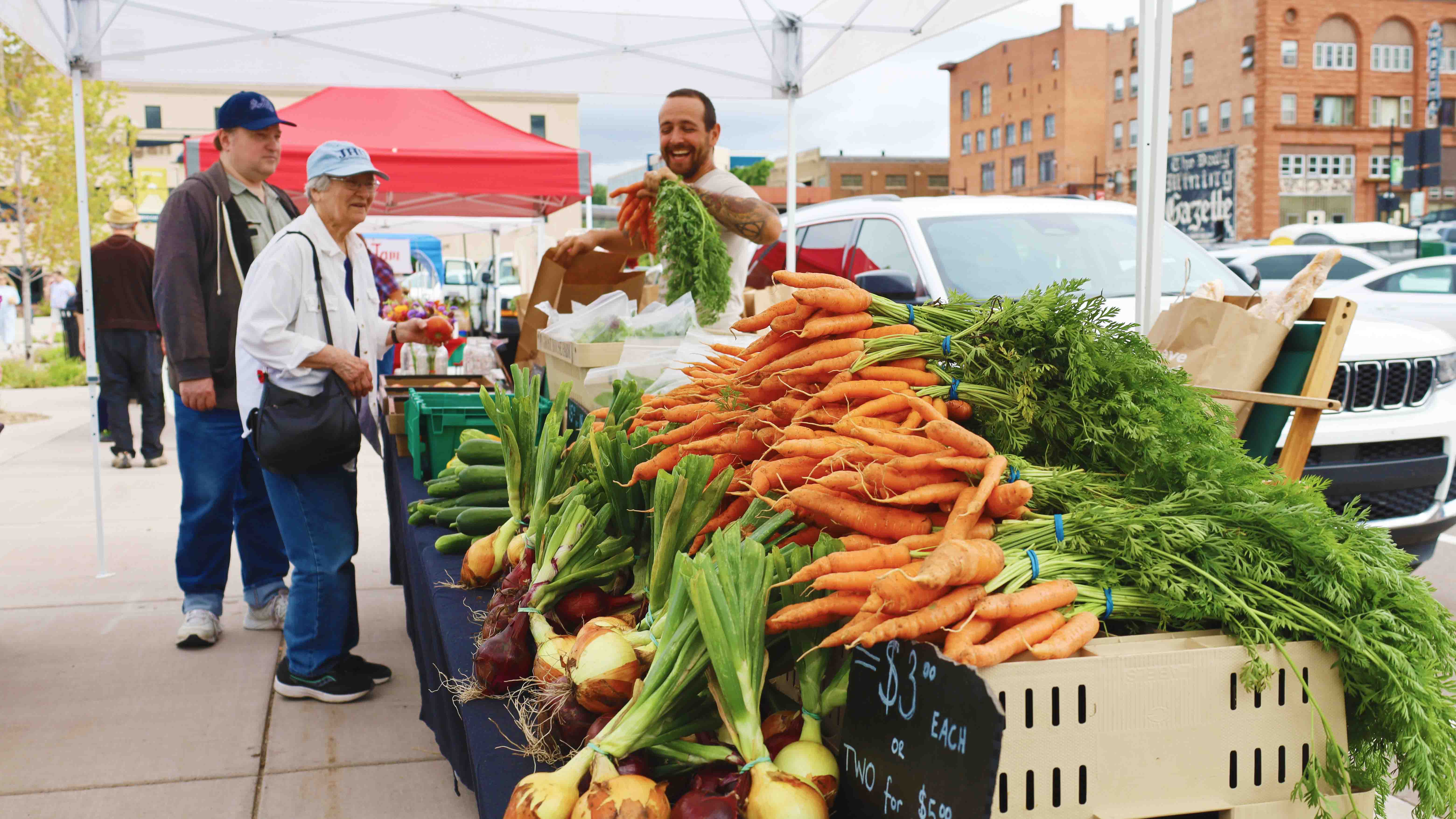 Navigating Nutrition - Featured Image